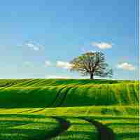 vue插﻿件﻿开‌发‌教​程﻿